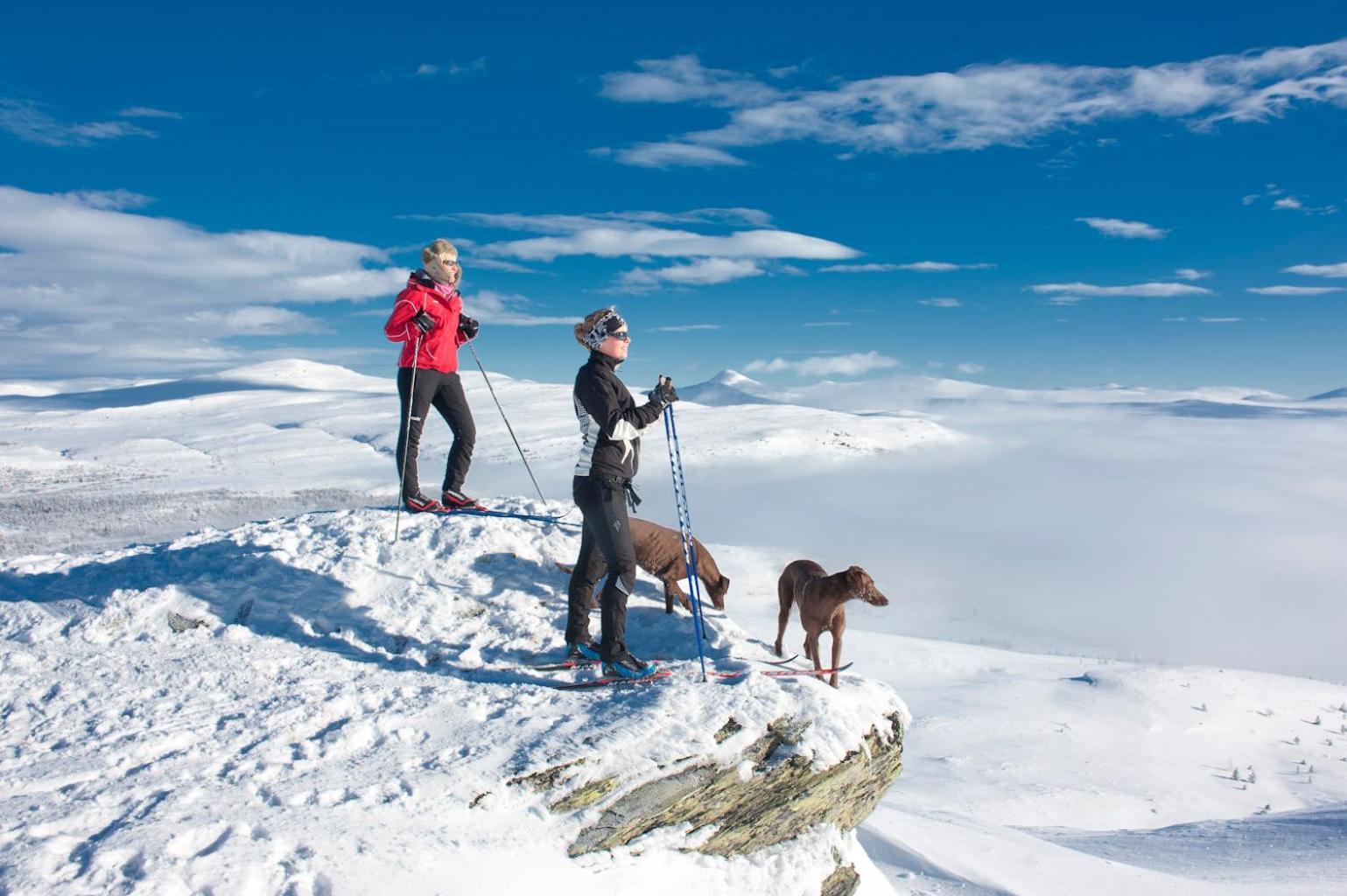 Spidsbergseter Resort Rondane Venabygd 外观 照片