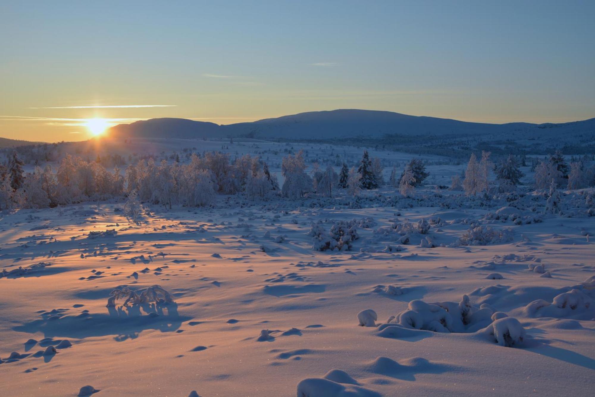 Spidsbergseter Resort Rondane Venabygd 外观 照片