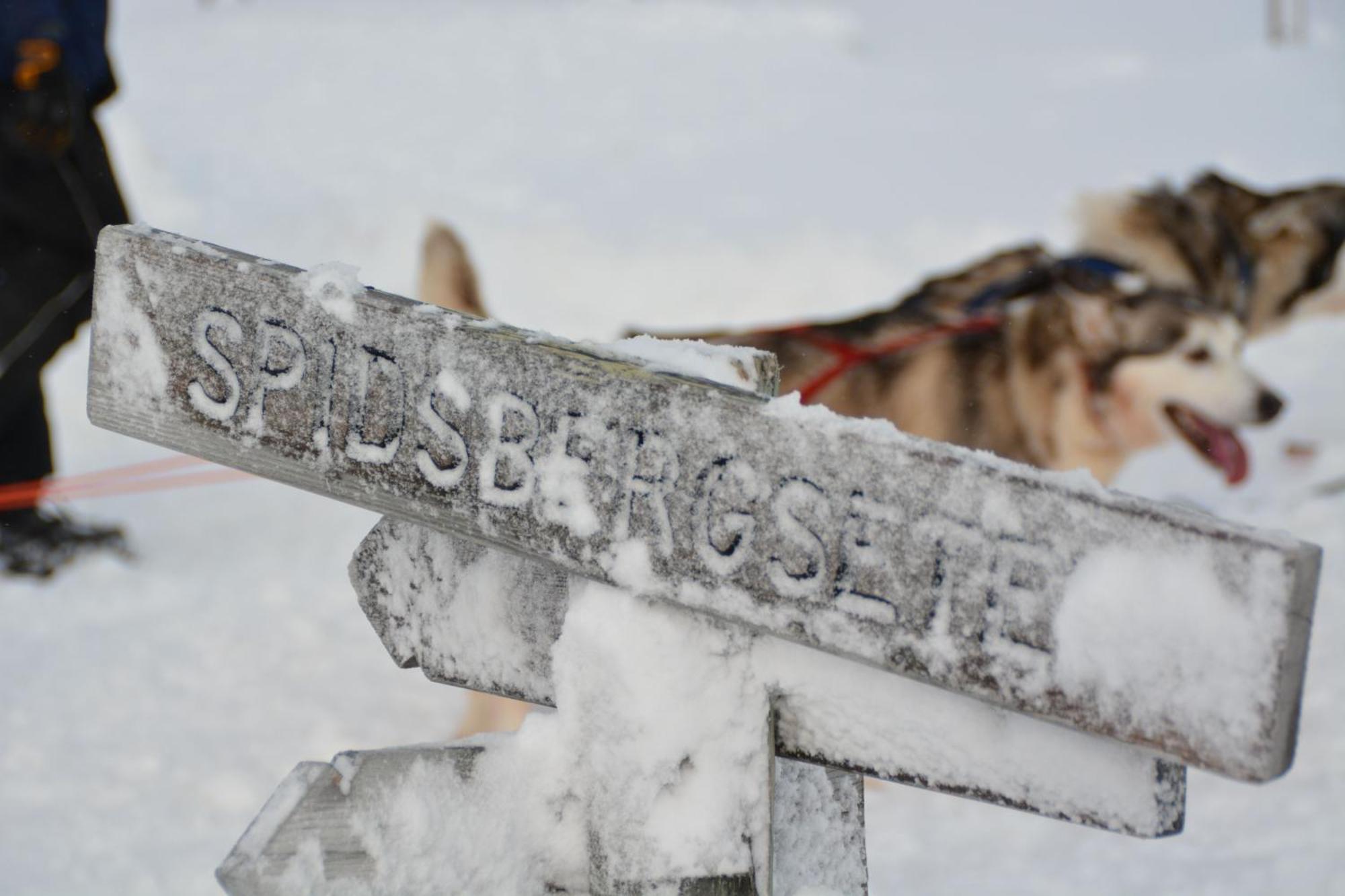 Spidsbergseter Resort Rondane Venabygd 外观 照片